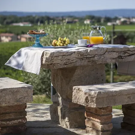 Alojamento de Turismo Rural Le Pervinche