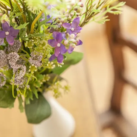 בית חווה Le Pervinche Refrontolo