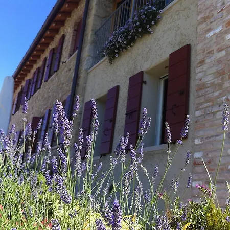 Le Pervinche